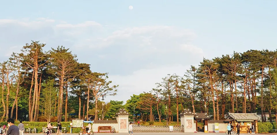 Garden at Hanbat Arboretum
