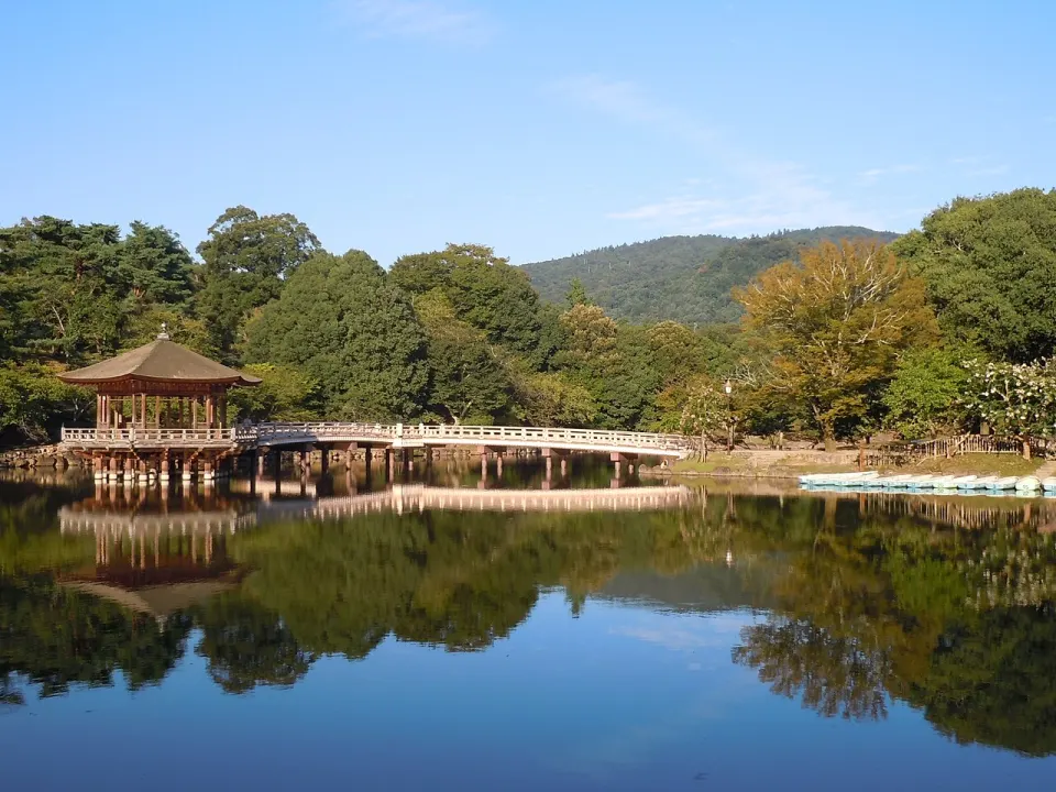 Deer in Nara Park