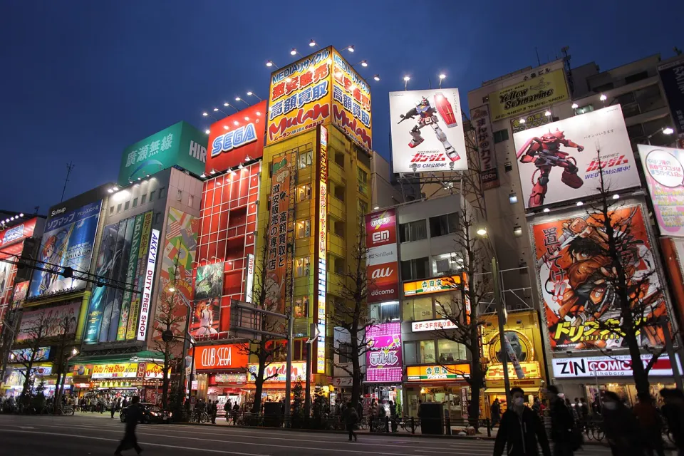 Akihabara Electric Town at night